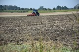 Od 17 października zaliczki dopłat będą wpływać na konta rolników. Gospodarze czekają na te pieniądze, bo czasy są trudne