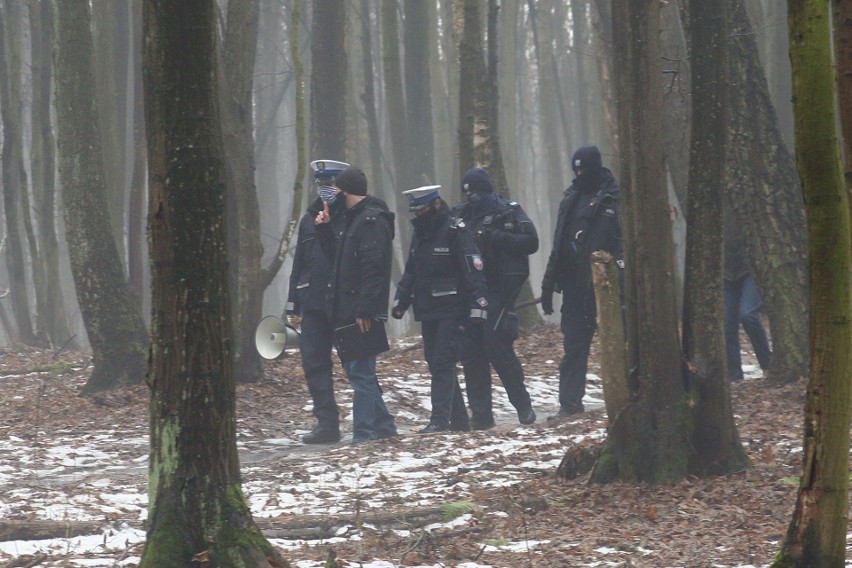  „Stop wycince drzew w Starym Gaju!”. Zobacz zdjęcia ze ''spaceru"