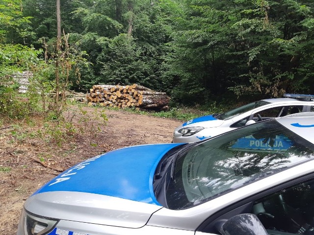 Policyjne radiowozy w lesie nieopodal miejscowości Międzygórz, gdzie w czwartek doszło do wypadku