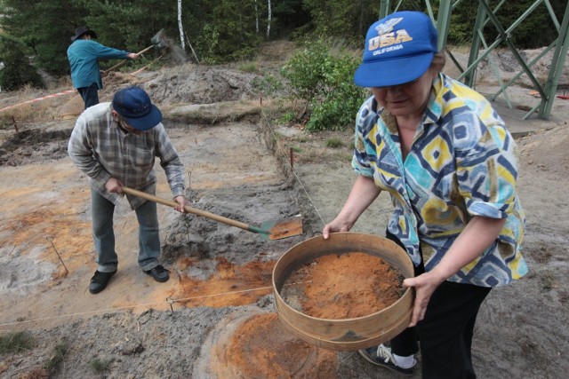 Archeolodzy Edelgarda i Eugeniusz Foltynowie ze swoim zespołem badali wydmę w Żyglinie już latem ubiegłego roku. Znaleźli tutaj około 200 fragmentów prehistorycznych narzędzi