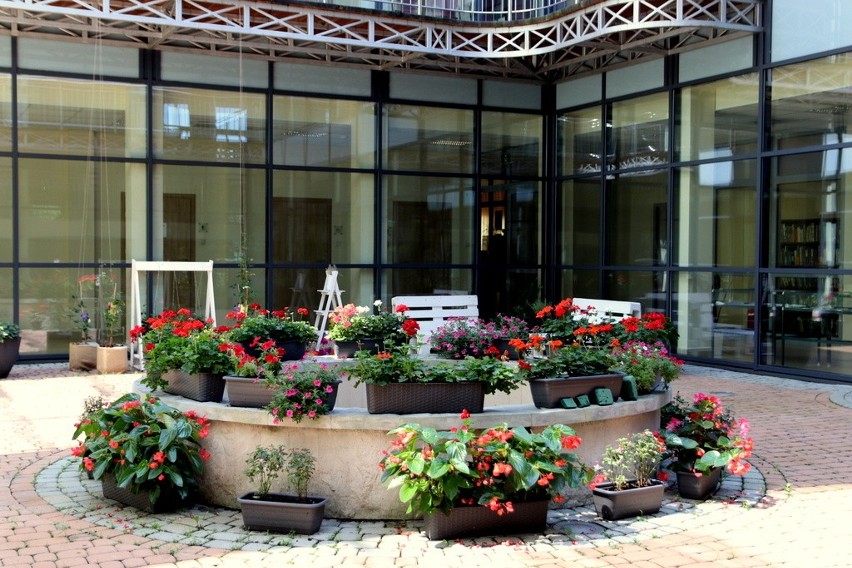 Patio w Miejskiej Bibliotece Publicznej w Stalowej Woli stało się zieloną oazą dla czytelników [ZDJĘCIA]