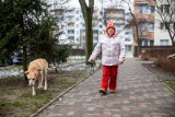 Nieznajomy mężczyzna rzucił się na ratunek. Uratował jej psa z bagna. Kobieta chce mu podziękować