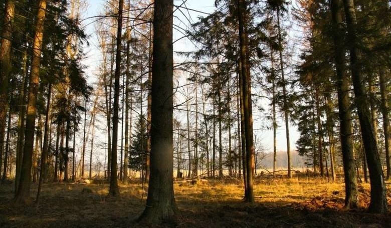 Następną nadarzającą się okazją jest majówka. Tutaj...