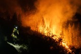 Gigantyczny pożar na Teneryfie. Strażacy przegrywają z żywiołem, a ludzie muszą uciekać - WIDEO