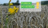 Przedłużony termin składania wniosków suszowych! 