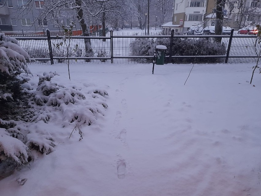 Pierwszy w sezonie śnieg na Lubelszczyźnie. W regionie zrobiło się biało. Zobacz zdjęcia Czytelników