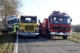 Wypadek w Kluczewie. Przewróciła się ciężarówka przewożąca prosiaki