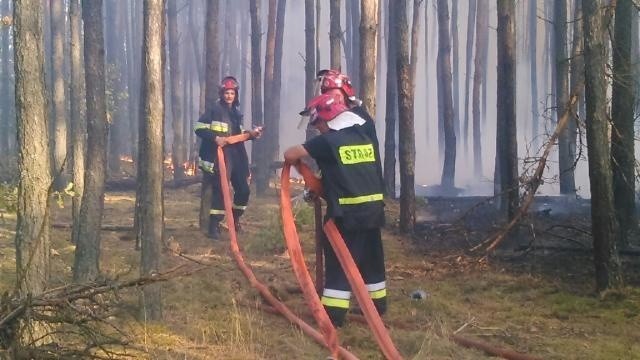 Zobacz też: Pożar hali magazynowej w Poznaniu...