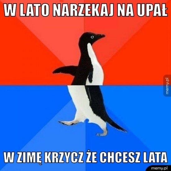 Upał w Polsce dokucza wszystkim. Internauci wzięli sprawy w...