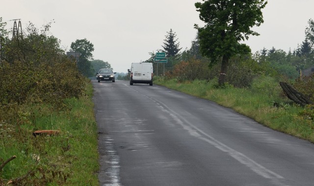 Wzdłuż remontowanej drogi wojewódzkiej końca dobiega wycinka drzew.