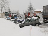 Cieniawa. Wypadek na DK28, siedem pojazdów uczestniczyło w karambolu [ZDJĘCIA, WIDEO]