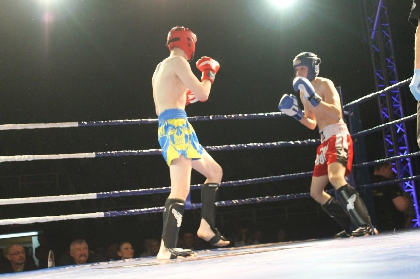 Głogowianie zdominowali Legion Fight Night [Zdjęcia Część 1]