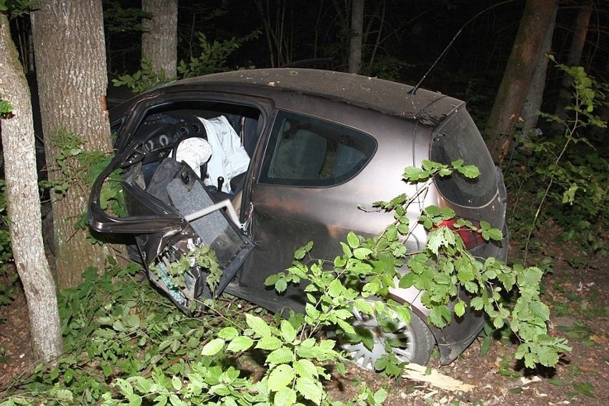 Białowieża: Wypadek. Mitsubishi uderzyło w drzewo. Kierowca bez pasów, prawdopodobnie pijany (zdjęcia)