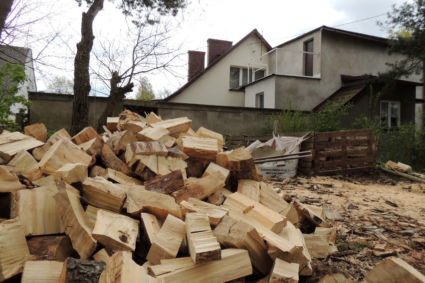 Drewno sosnowe kosztuje w Toruniu 170 zł/metr przestrzenny