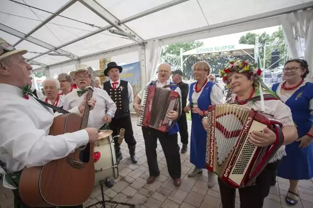 Zabawa na dożynkach w Swołowie rok temu.