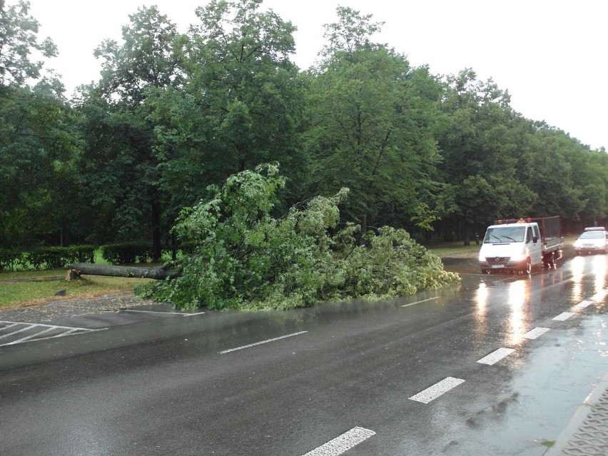 Burza w Łodzi. Nawałnica nad Łodzią. Powalone drzewa, gałęzie na drogach, zalane ulice [ZDJĘCIA]