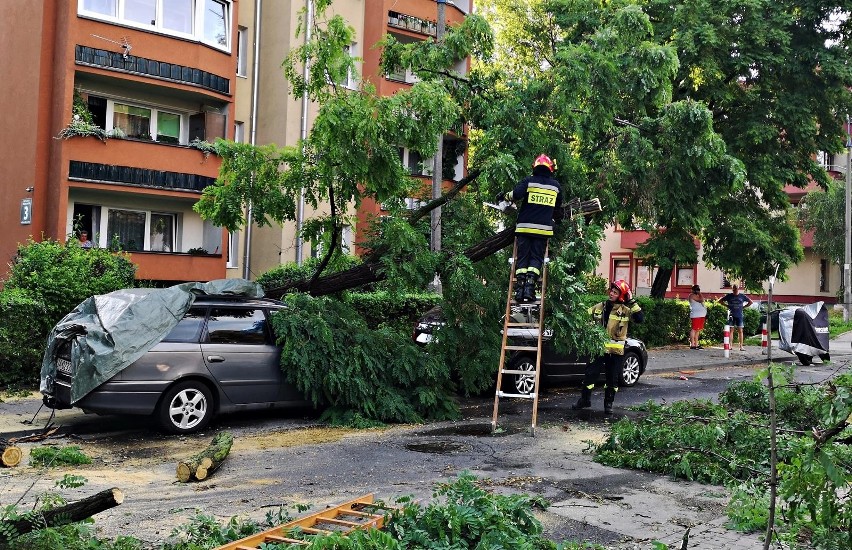 Kraków. Drzewo spadło na samochód. Trwa usuwanie szkód [ZDJĘCIA]