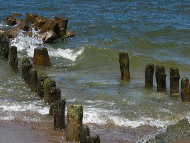 Morze Bałtyckie jest jednym z najbardziej zanieczyszczonych mórz świata.