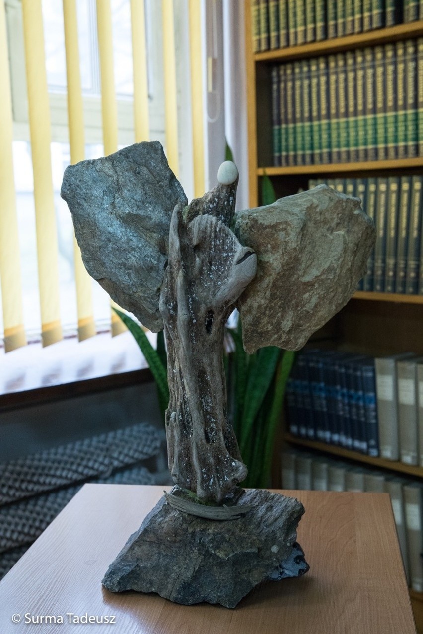 Anioły w czytelni i nagie biusty w galerii Ex Librisu. "Międzysaż" w Książnicy Stargardzkiej [zdjęcia, wideo] 