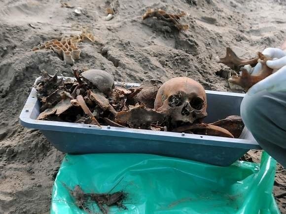 W Dąbiu znaleziono ludzkie szczątki.