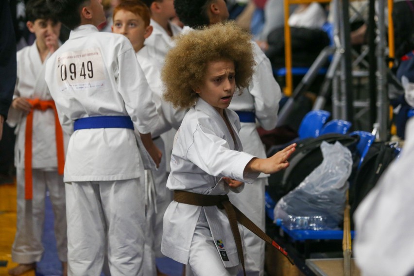 Historyczne mistrzostwa świata w karate tradycyjnym w Lublinie i Puchar Świata Dzieci (ZDJĘCIA)