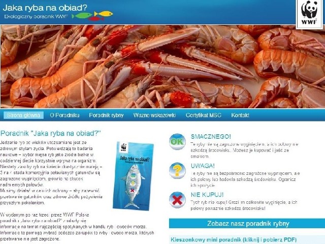 Zrzut strony internetowej poradnika "Jaka ryba na obiad?"