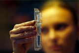 Dolny Śląsk boi się szczepionek? 400 dzieci niezaszczepionych