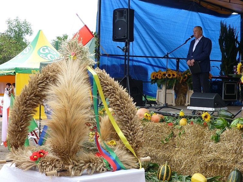 Dożynki 2014. Rolnicy z gminy Dąbrowa świętowali w Słaboszewie [zdjęcia]