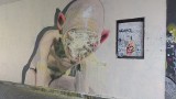 Graffiti znanego artysty z Poznania zostało zniszczone [ZDJĘCIA]