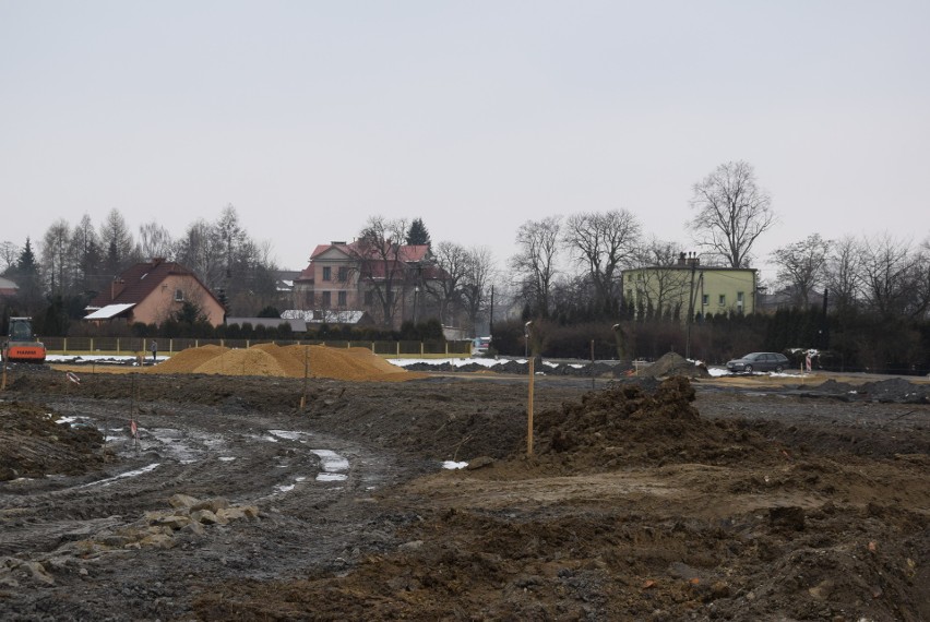 Oświęcim. Na Kamieńcu wycięto piękne drzewa. Tak powstaje Park Pojednania Narodów [ZDJĘCIA, WIZUALIZACJA]