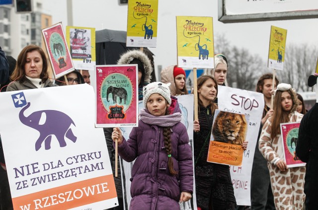 Nie dla cyrku ze zwierzętami - taka pikieta odbyła się w Częstochowie