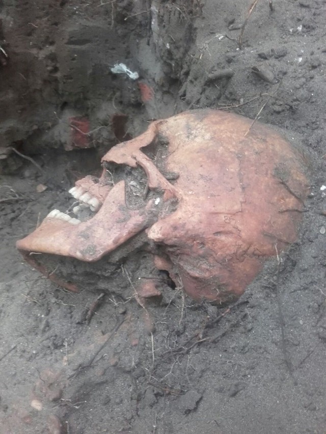 Szczątki, prawdopodobnie kolejnego, polskiego żołnierza odkryto na Westerplatte.