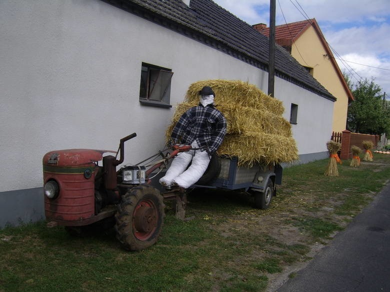 Na dożynkach w Dobrzeniu Wielkim wszystkie korony...