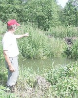 Radoszki. Za bobrami stoi prawo, więc - chodzą gdzie chcą