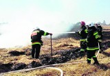 Pali się w powiecie radziejowskim - strażacy gasili już 30 razy