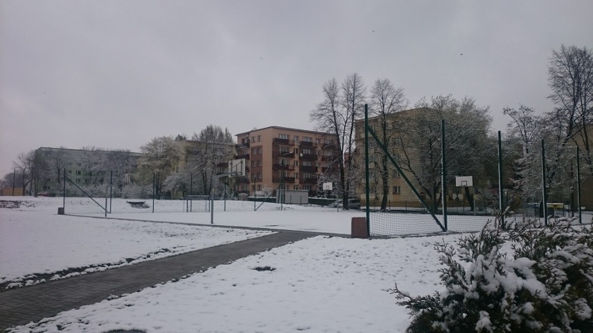 Zima wiosną w Siemianowicach Śląskich 19.04.2017 ZDJĘCIA