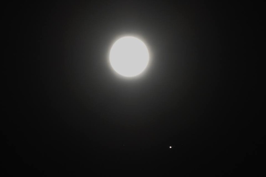 Koniunkcja Jowisza z Księżycem na zdjęciach naszego Czytelnika