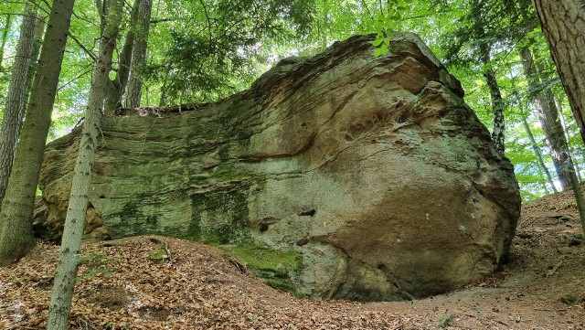 Skałki w Muchówce na terenie Wiśnicko-Lipnickiego Parku Krajobrazowego uzyskały status pomnika przyrody