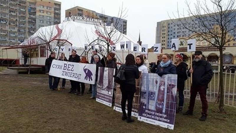 Manifestacja w obronie cyrkowych zwierząt [zdjęcia]