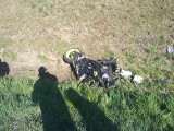 Szypliszki. Wypadek na DK 8. Motocyklista wpadł do rowu (zdjęcia)