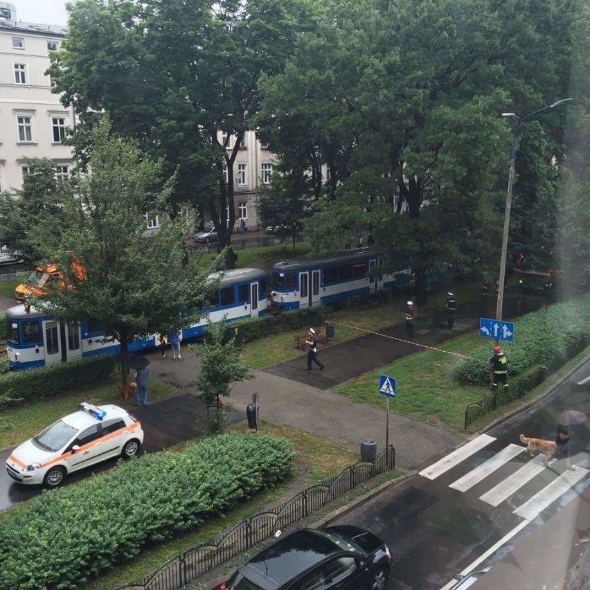 Kraków. Śmiertelne potrącenie pieszego na ul. Dietla [ZDJĘCIA, WIDEO] 