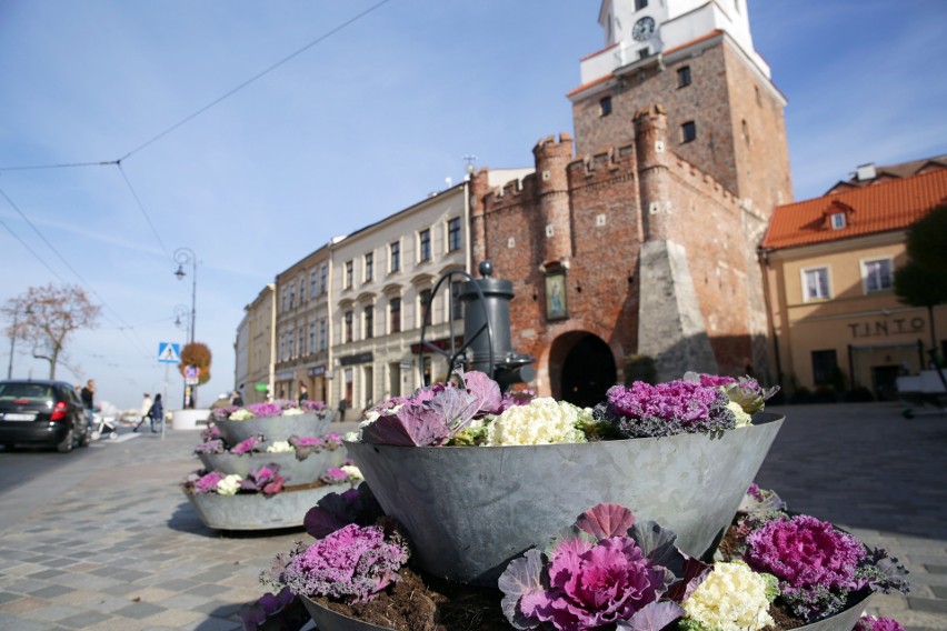 Jesień w Lublinie. Miasto zadbało o różnorodne i kolorowe nasadzenia. Zobacz zdjęcia