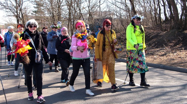 Dzisiejszy (20 marca) wiosenny, kolorowy marsz Nordic Walking "Patyczaków" wiódł przez las komunalny do plaży miejskiej i działek nad Jeziorem Rudnickim. Po drodze szukano oznak wiosny, których jest już bardzo wiele. W przyszłym tygodniu Patyczaki zapraszają na marsz "Na kolejowym szlaku" z Grudziądza do Górnej Grupy.
