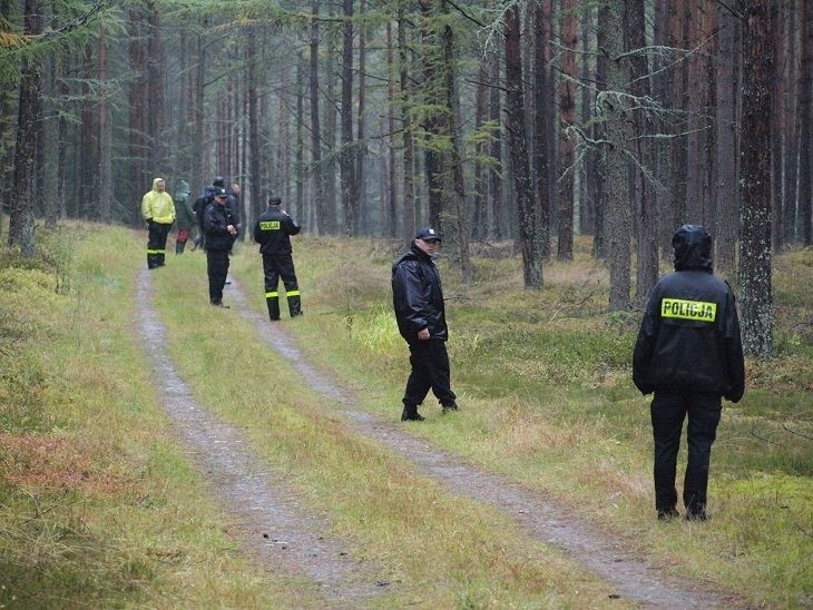 Wciąż trwają poszukiwania 86-letniego grzybiarza w lasach w okolicach Rosnowa [wideo, zdjęcia]