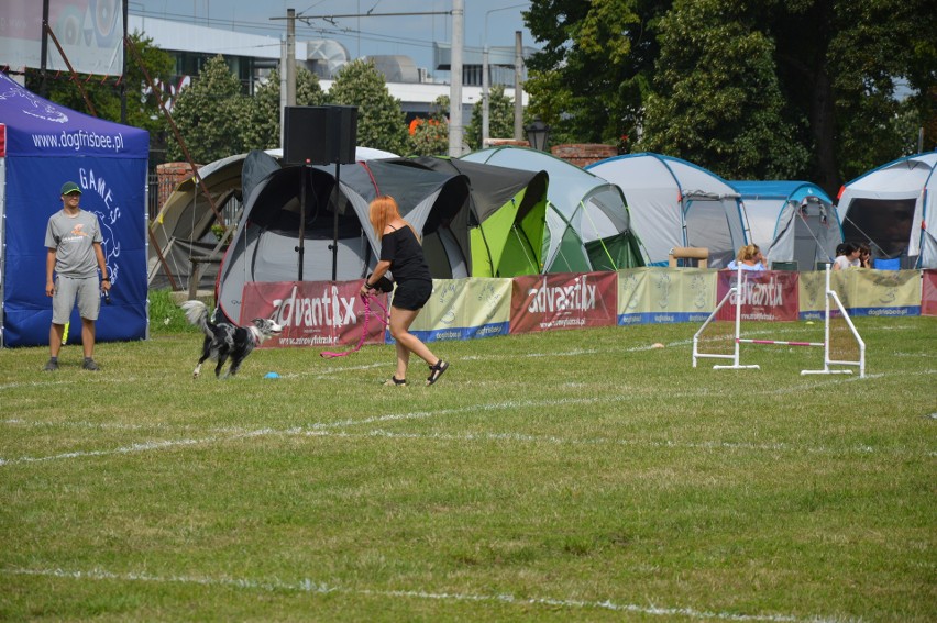 "Latające psy" 2018 w gdyńskim Parku Kolibki, czyli emocjonujące zawody w dogfrisbee