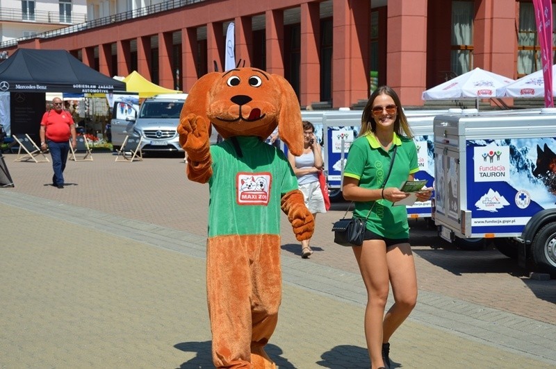 Krynica-Zdrój. Dzień Ratownika Górskiego [ZDJĘCIA]