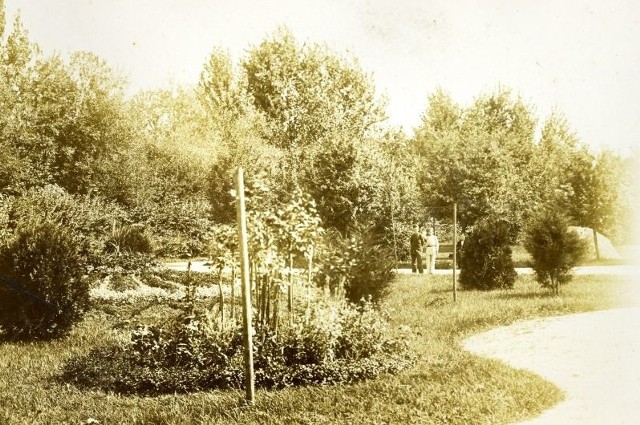Część parku miejskiego założona w 1890 r. Uwiecznił  ją na zdjęciu w 1897 r.