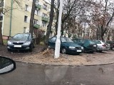 Kraków. Nowohuckie trawniki rozjeżdżane przez samochody. ZZM apeluje i rozważa drogę sądową