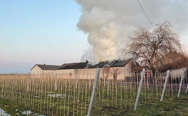 W Nowej Wsi w gminie Warka palił się budynek gospodarczy.