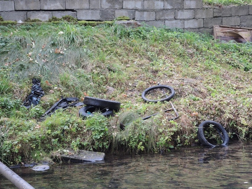 Sprzątanie rzeki Studnicy w Miastku